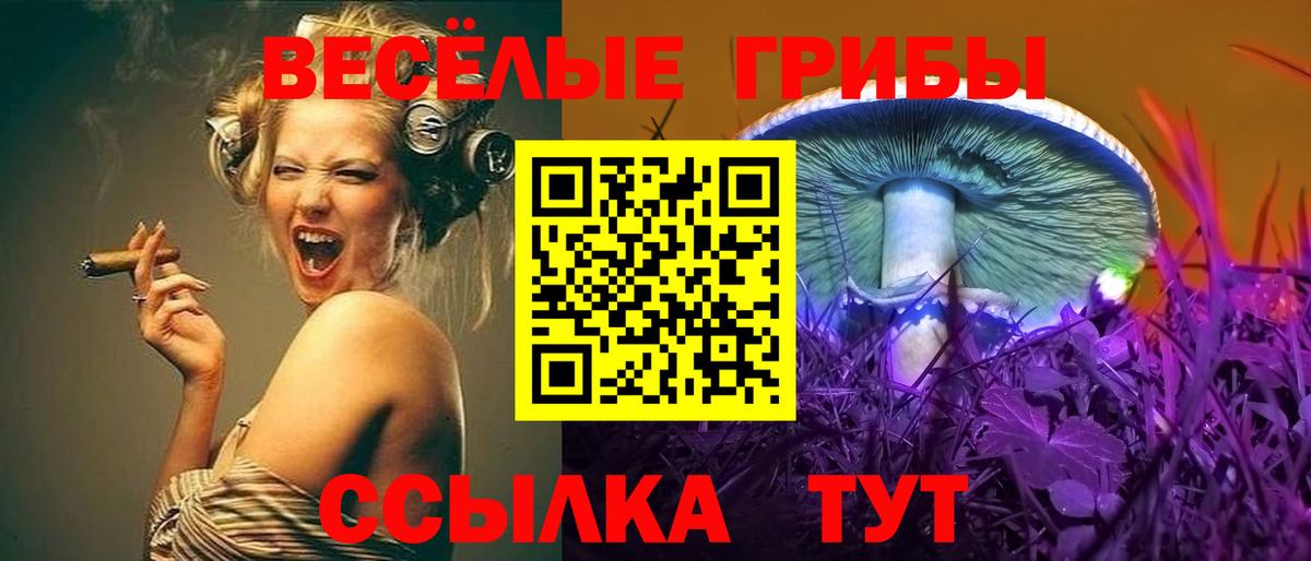 Галлюциногенные грибы Magic Shrooms  Вход с VPN  Нарткала 